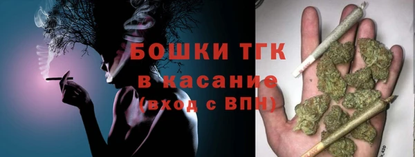 соль ск Белокуриха