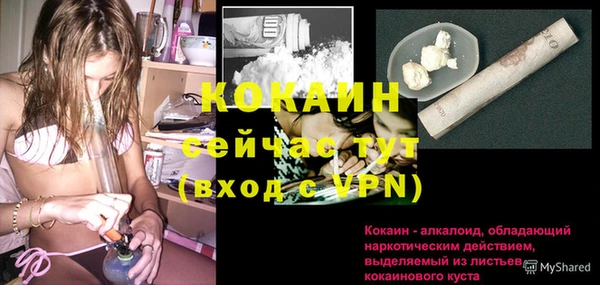 соль ск Белокуриха