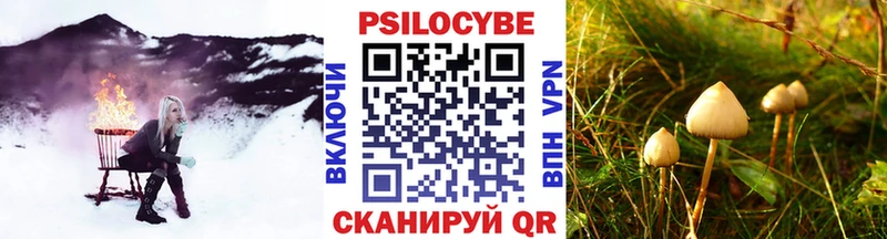 блэк спрут ССЫЛКА  Торопец  Псилоцибиновые грибы мицелий 
