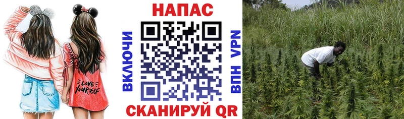 закладки  Торопец  ОМГ ОМГ tor  Конопля марихуана 